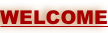shapeimage_3_link_0